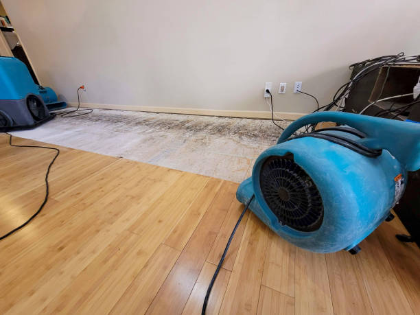 Professional Water Damage Repair technician working in Tomales, CA